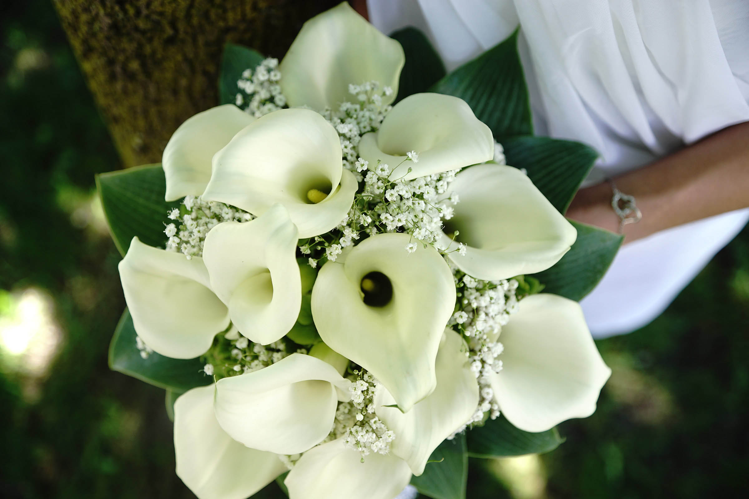 Hochzeitsimpressionen