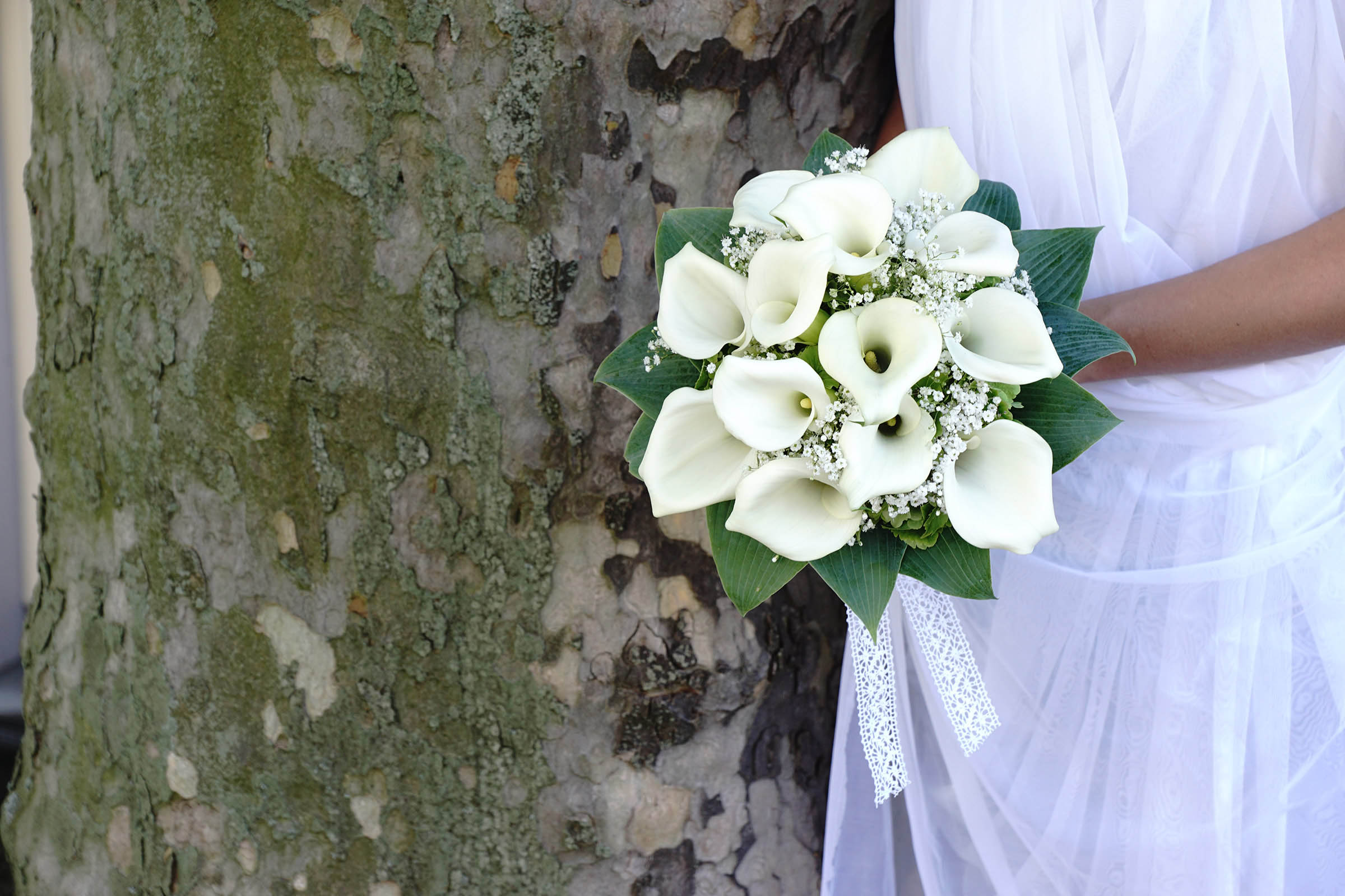 Hochzeitsimpressionen